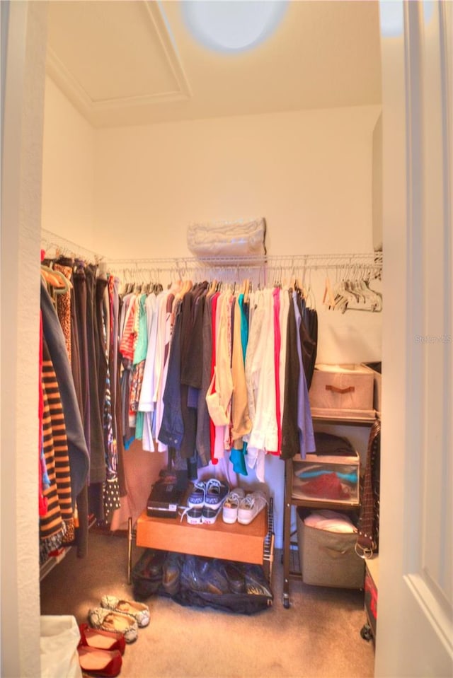 spacious closet with carpet