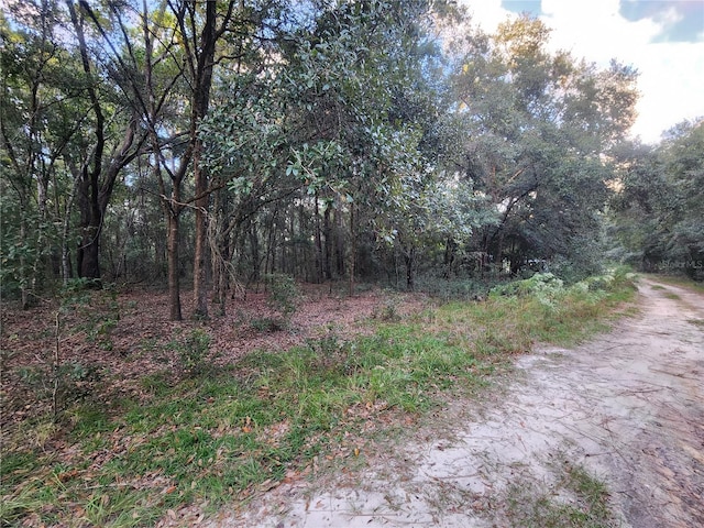 1906 Addison St, Inverness FL, 34453 land for sale