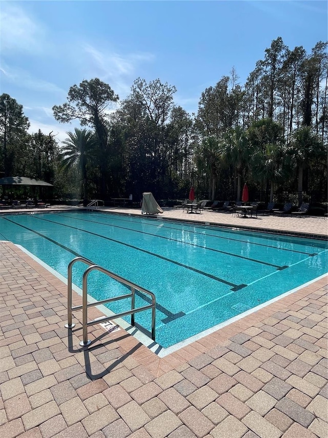 view of swimming pool featuring a patio area