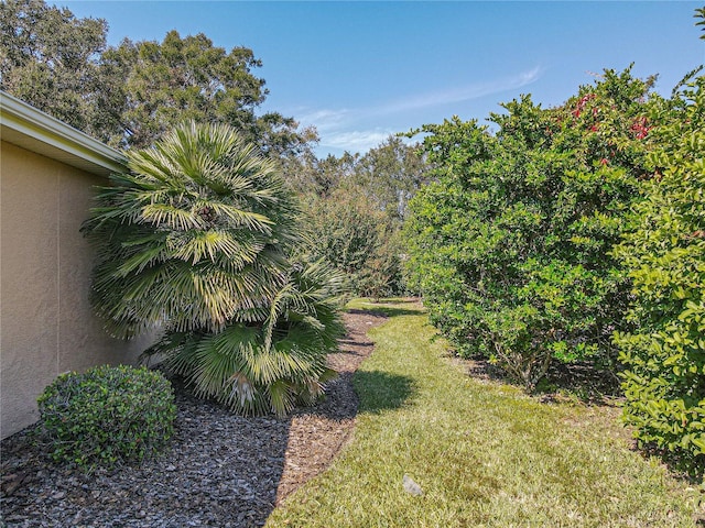 13166 SE 86th Cir, Summerfield, FL 34491 - photo 9