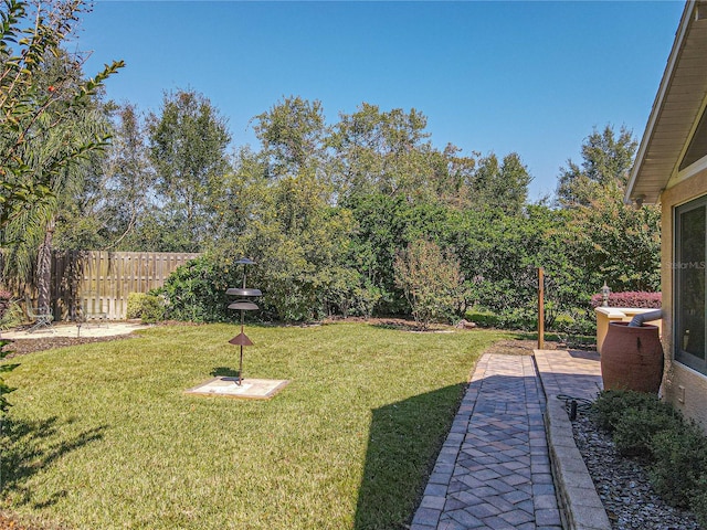 view of yard featuring a patio