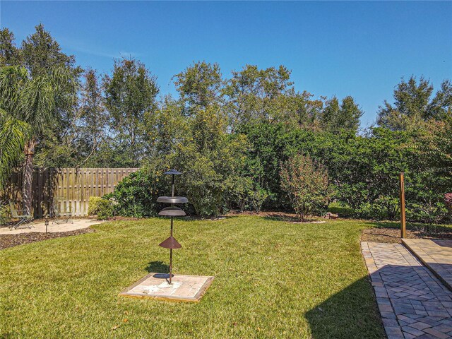 view of yard with a patio