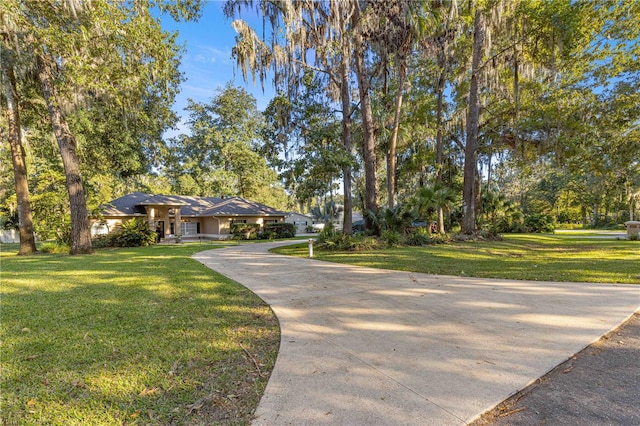 view of front of property featuring a front yard