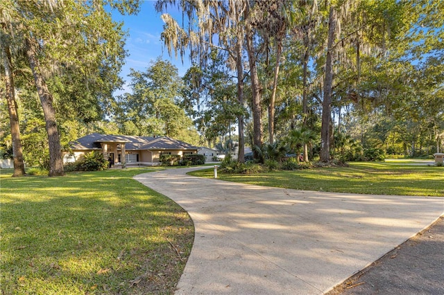 view of front of home with driveway and a front yard
