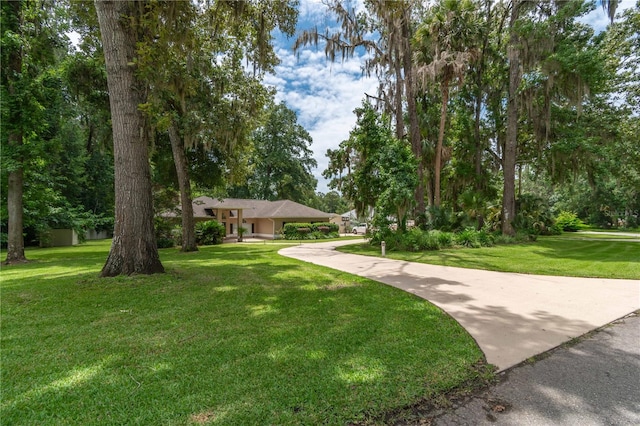 4893 SW 4th Cir, Ocala, FL 34471 - photo 49
