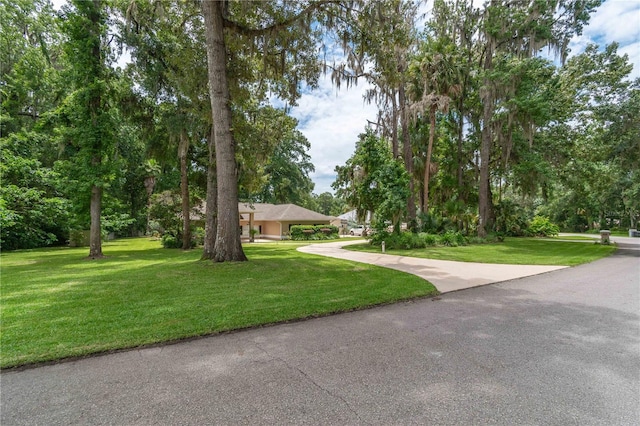 4893 SW 4th Cir, Ocala, FL 34471 - photo 48