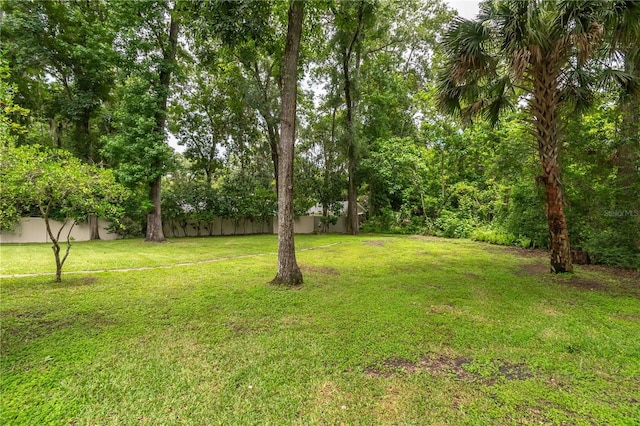 4893 SW 4th Cir, Ocala, FL 34471 - photo 62