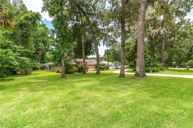 4893 SW 4th Cir, Ocala, FL 34471 - photo 65