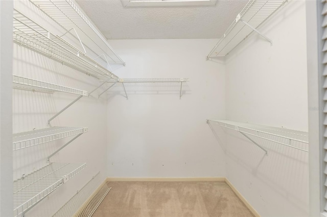 spacious closet with carpet floors