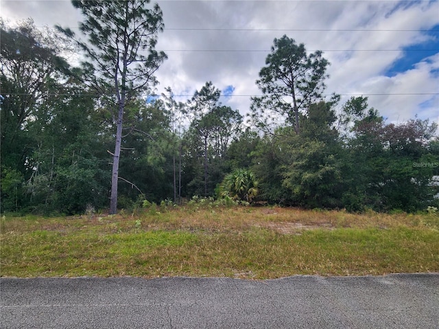 8630 N Catapane Loop, Crystal River FL, 34428 land for sale