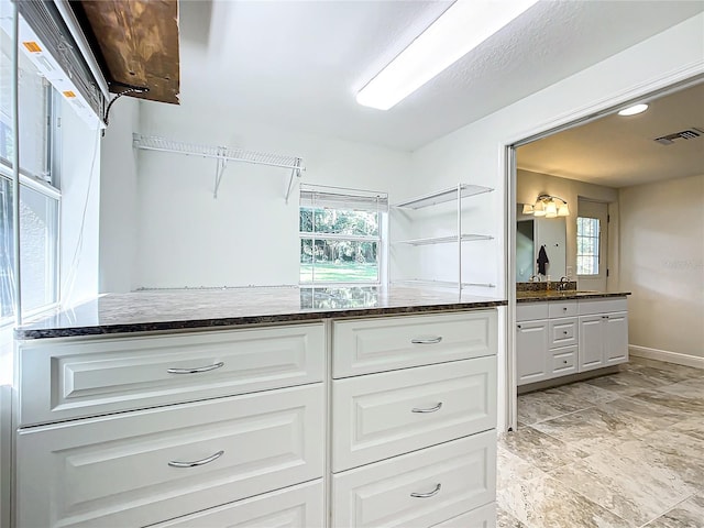 walk in closet with sink