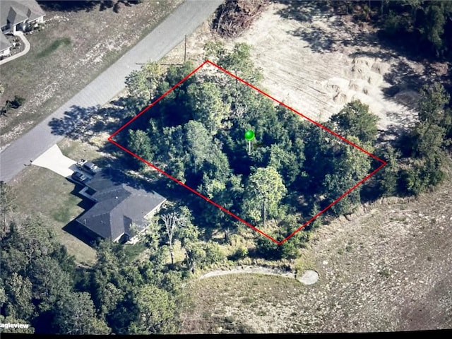 9609 N Langdon Rd, Citrus Springs, FL 34434