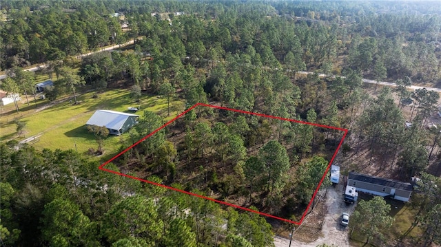 131st, Williston FL, 32696 land for sale