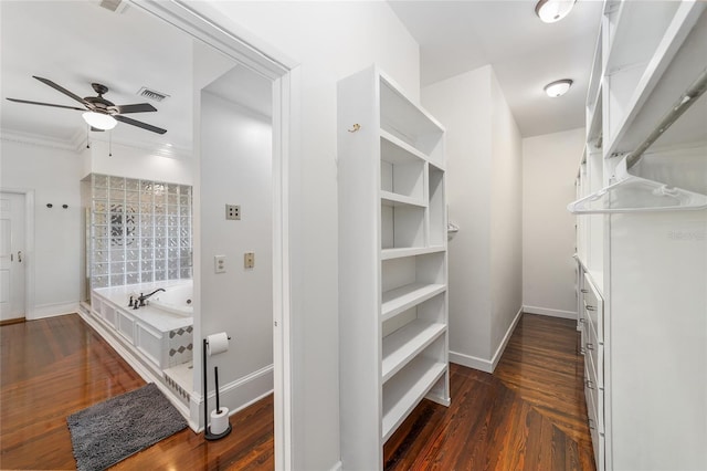 walk in closet featuring ceiling fan and dark hardwood / wood-style flooring