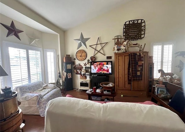 living room with lofted ceiling and wood finished floors