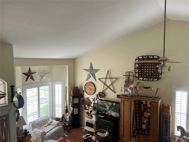 living room featuring vaulted ceiling, a textured ceiling, and wood finished floors