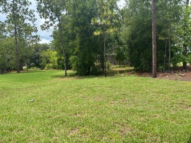 6925 SW 179th Court Rd, Dunnellon, FL 34432 - photo 13
