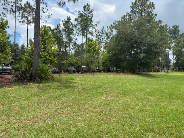 6925 SW 179th Court Rd, Dunnellon, FL 34432 - photo 14