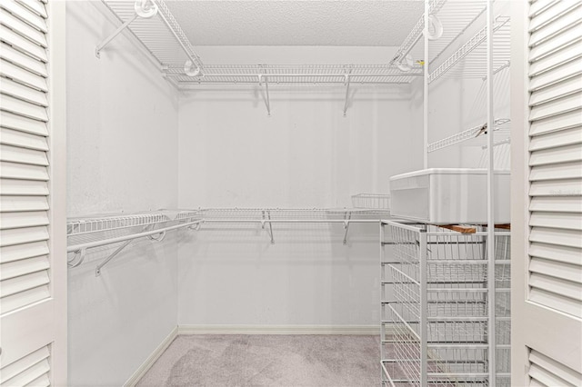 spacious closet with light colored carpet