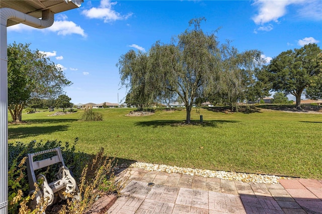 view of yard with a patio area