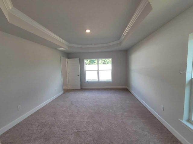 spare room featuring crown molding, carpet flooring, and a tray ceiling