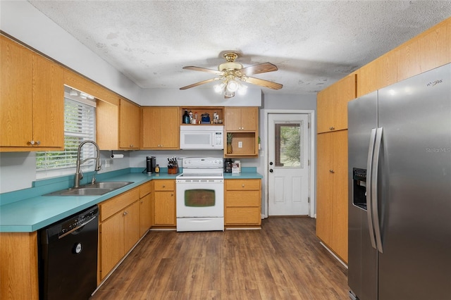 kitchen with sink, dark wood-type flooring, plenty of natural light, and white appliances