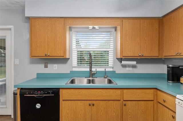 kitchen with sink, dishwasher, and white range oven