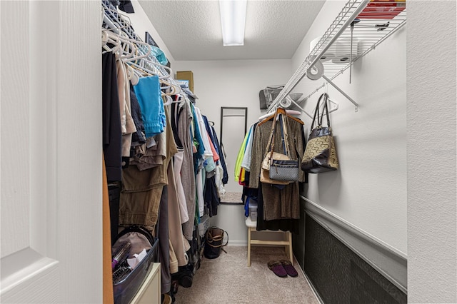 spacious closet with carpet flooring