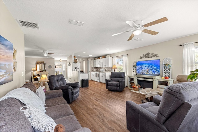 living room featuring a fireplace, a textured ceiling, light wood-type flooring, and a wealth of natural light