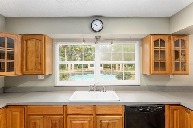 kitchen featuring black dishwasher and sink