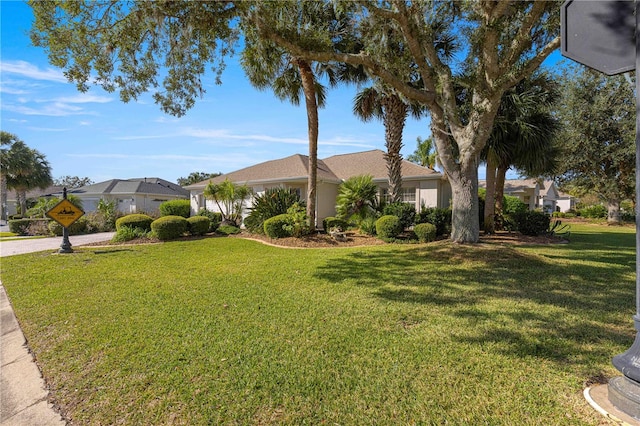 ranch-style home featuring a front lawn