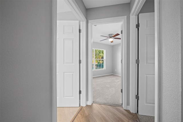 hallway featuring light wood-type flooring