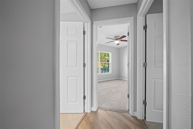 19662 SW Marine Blvd, Dunnellon, FL 34431 - corridor featuring light wood-style floors and baseboards