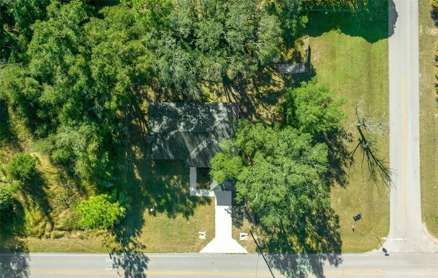 19662 SW Marine Blvd, Dunnellon, FL 34431 - bird's eye view