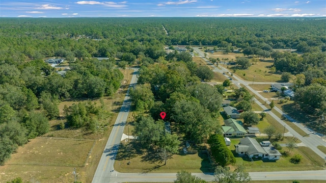 19662 SW Marine Blvd, Dunnellon, FL 34431 - aerial overview of property's location with a forest