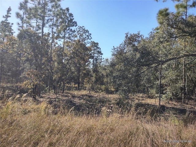 Listing photo 2 for TBD NE 5th St, Williston FL 32696