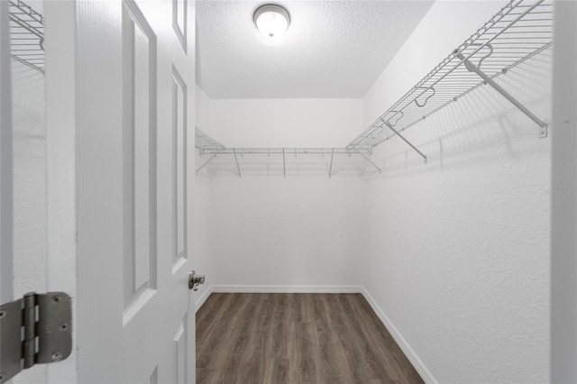 spacious closet featuring dark wood-type flooring