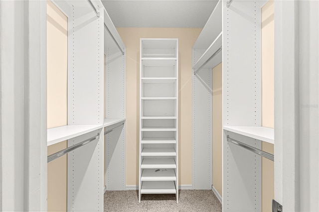 spacious closet featuring carpet