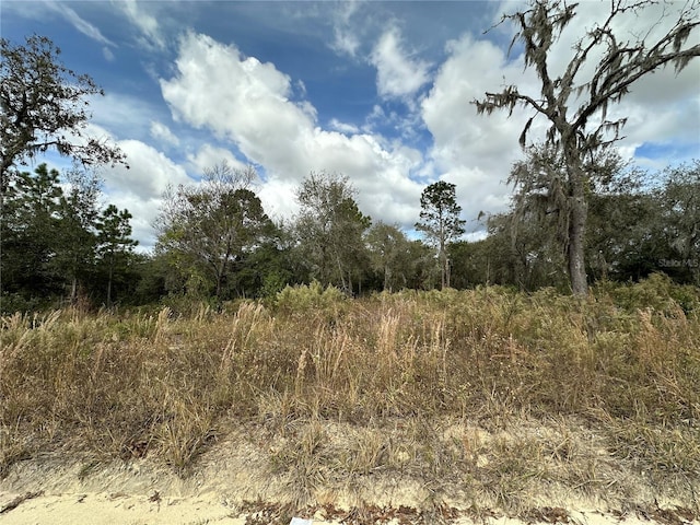 1621 NE 125th Ct, Williston FL, 32696 land for sale