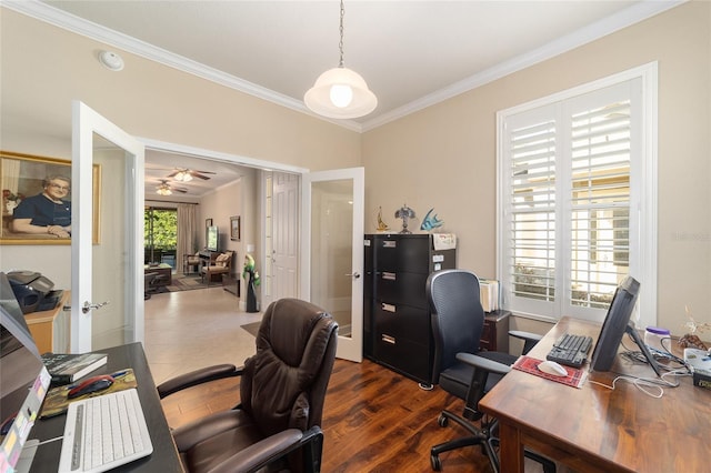 home office with dark wood-type flooring, crown molding, and ceiling fan