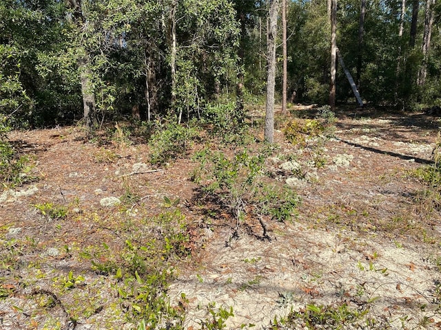 Listing photo 3 for TBD Lakeland Heights Ave, Dunnellon FL 34431