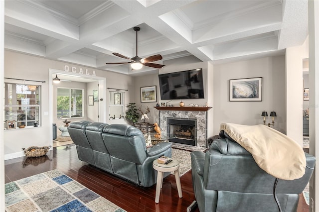 living room with a high end fireplace, ornamental molding, beamed ceiling, dark wood-type flooring, and coffered ceiling