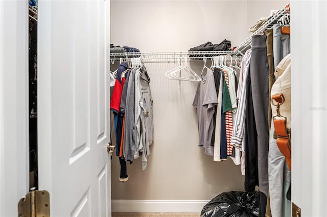 view of spacious closet