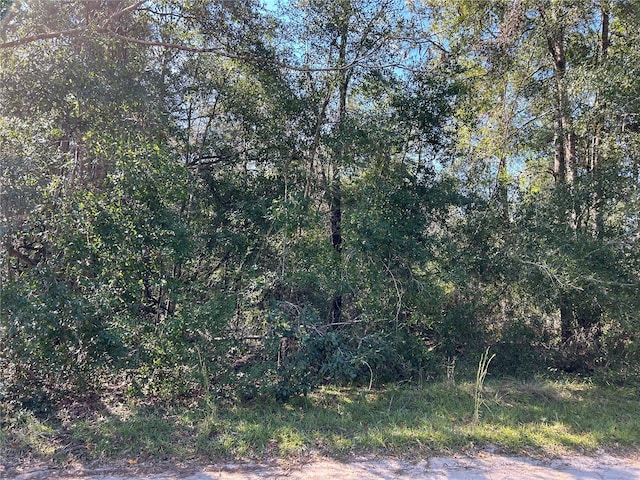 TBD NE 138th Ter, Williston FL, 32696 land for sale