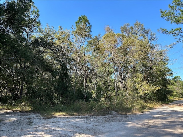 Listing photo 2 for TBD NE 138th Ter, Williston FL 32696