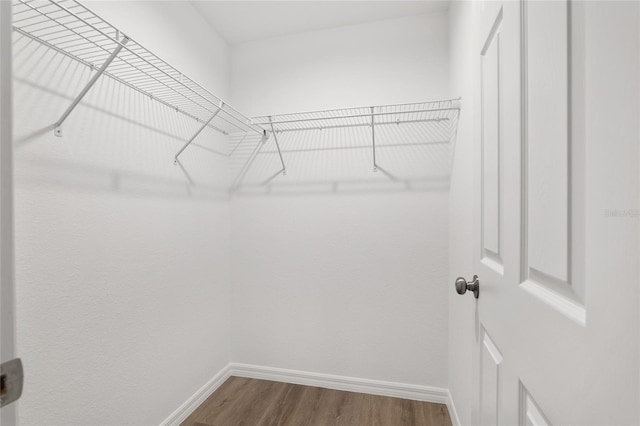 walk in closet with hardwood / wood-style floors