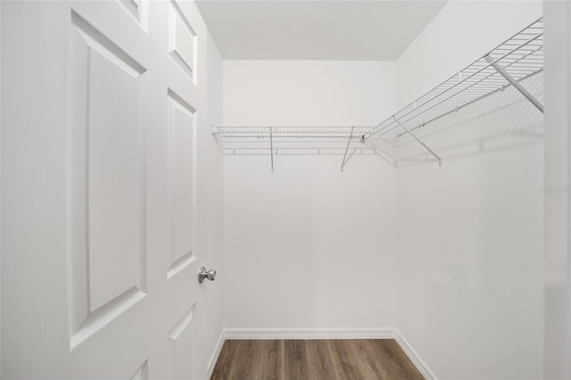 spacious closet with wood-type flooring