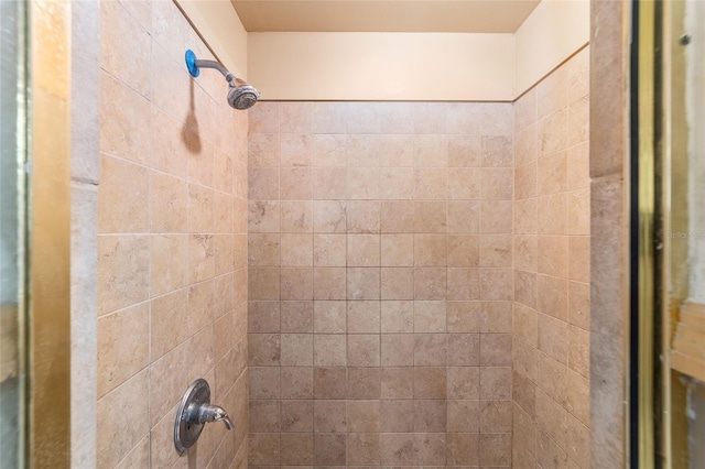 interior details with tiled shower