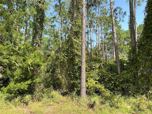 5 Edmond Pl, Palm Coast FL, 32164 land for sale