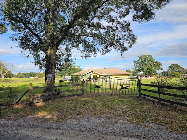 view of yard with a rural view